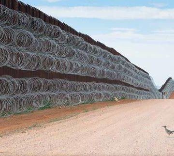 Premio de fotografía es para un mexicano por una foto de un ave en el muro fronterizo