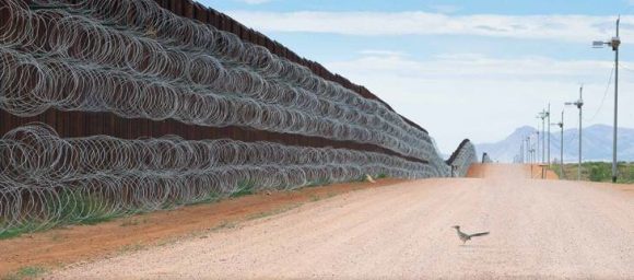 Premio de fotografía es para un mexicano por una foto de un ave en el muro fronterizo