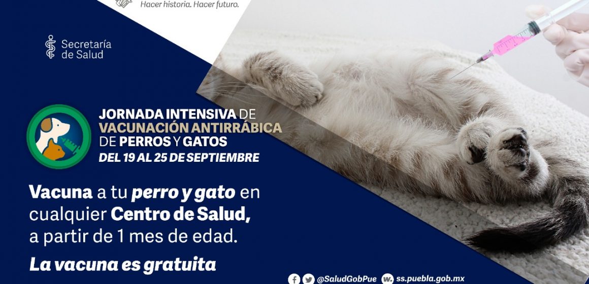 Puebla, libre de casos de rabia en humanos transmitida por perros: Salud