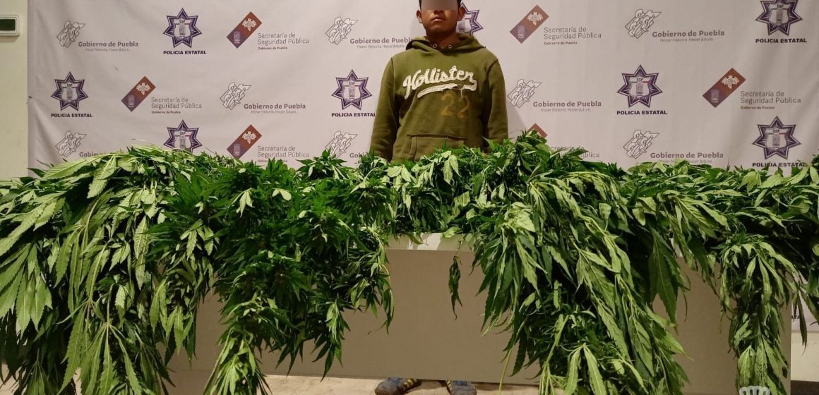 Detiene Policía Estatal a hombre con cuatro kilogramos de aparente marihuana