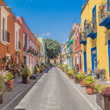 ¿Porqué se llama El Callejón de los Sapos?