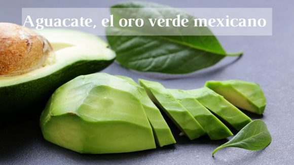 El delicioso aguacate, de México para el mundo