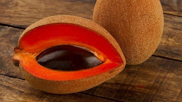 El mamey una deliciosa fruta mexicana