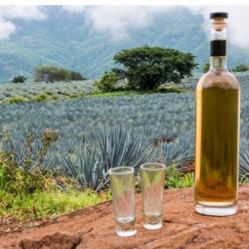 Historia del Tequila, bebida 100% mexicana