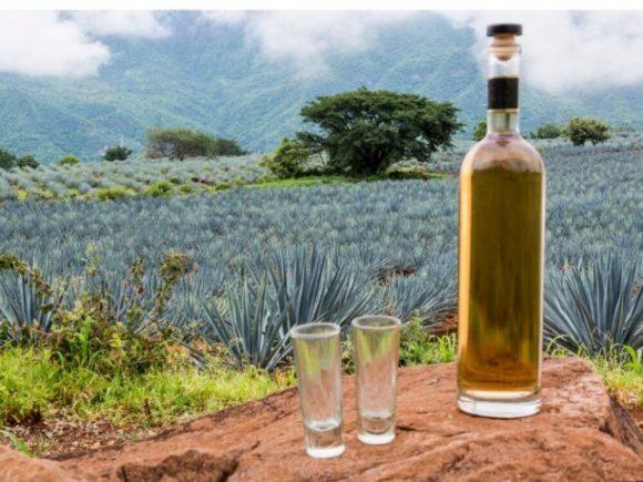 Historia del Tequila, bebida 100% mexicana