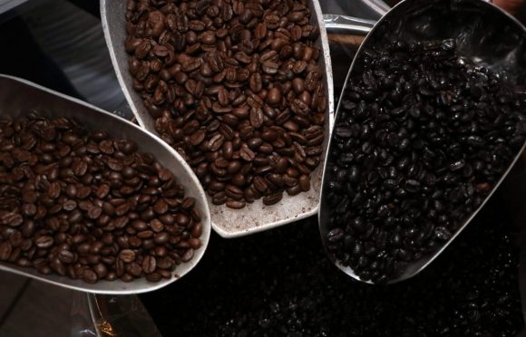 Mantiene SDR apuesta por recuperación de la cafeticultura poblana