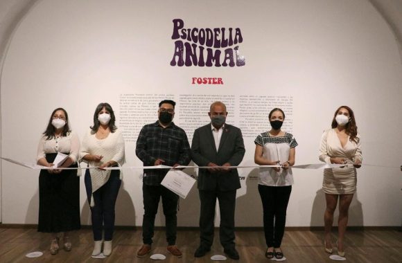 En San Pedro Museo de Arte, Cultura inaugura exposición “Psicodelia Animal”