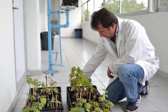 Investigadores BUAP logran eliminar más del 90 por ciento de colorantes textiles en aguas residuales