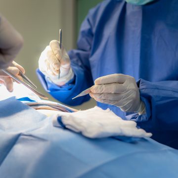 Exitoso trasplante de riñón de cerdo en paciente humano