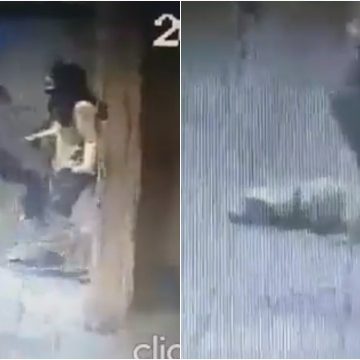 Matan de una patada a perro guía de mujer invidente en Venezuela