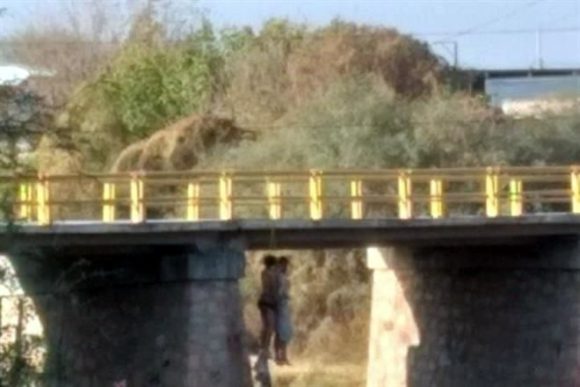 8734657863945 Localizan ocho cuerpos colgados en Fresnillo, Zacatecas