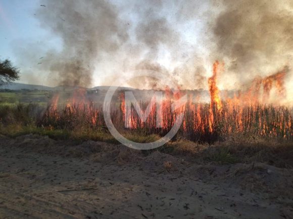 Oficial: 15 de Noviembre inicia la zafra cañera en el Ingenio de Atencingo