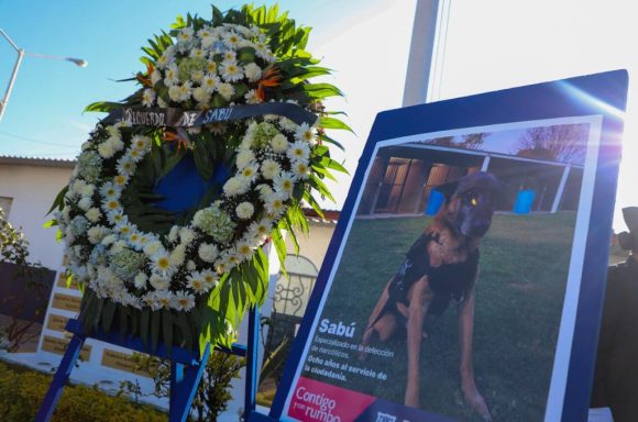 Con honores, SSC de Puebla da último adiós a Sabú, ejemplar camino en la detección de narcóticos