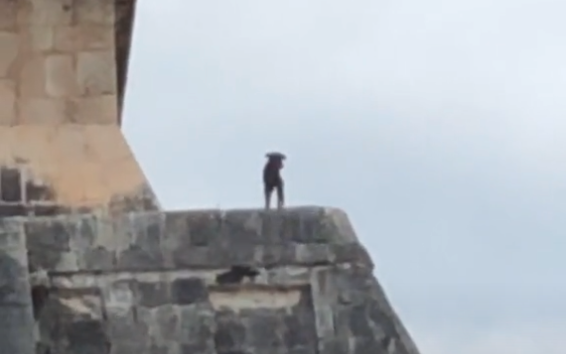 (VIDEO) Perrito sube a pirámide en Chichén Itzá