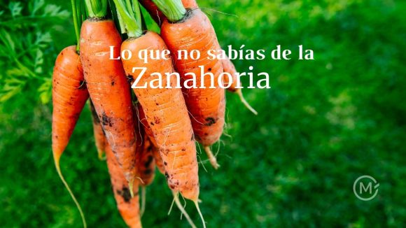 Los beneficios y poder de la zanahoria