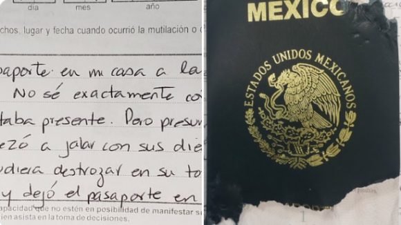 Perrita se come el pasaporte de su dueño; SRE le pide narrar los hechos