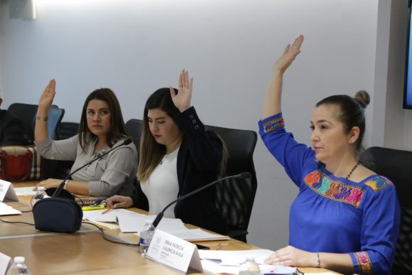 Garantiza Comisión de Educación de la LXI Legislatura defensa de los derechos humanos al presentar Plan de Trabajo
