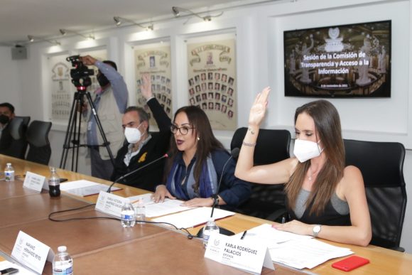 Comisión de Transparencia y Acceso a la Información aprueba Plan de Trabajo 2021-2024