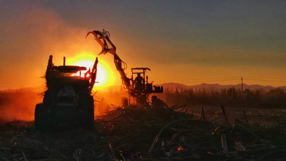Arranca la zafra 2021-22 con el reto de industrializar 1 millón 734 mil toneladas de caña