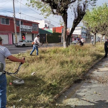 En un mes atiende Ayuntamiento de Puebla más de 1 millón de metros cuadrados en poda