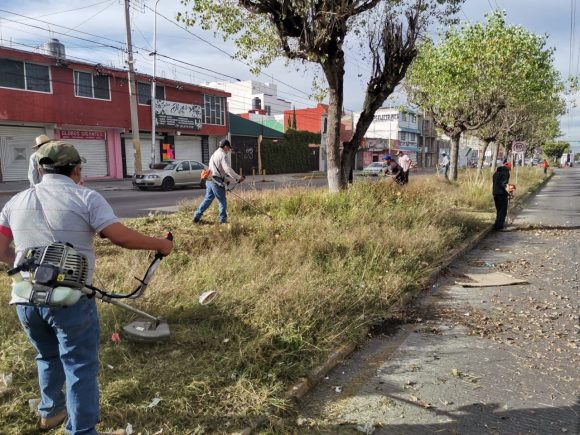 En un mes atiende Ayuntamiento de Puebla más de 1 millón de metros cuadrados en poda