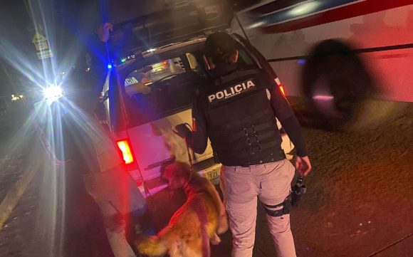 87695438976354879634583679453458763486579 Se encuentran con mensaje “Por meterse con casados” los restos de 2 mujeres