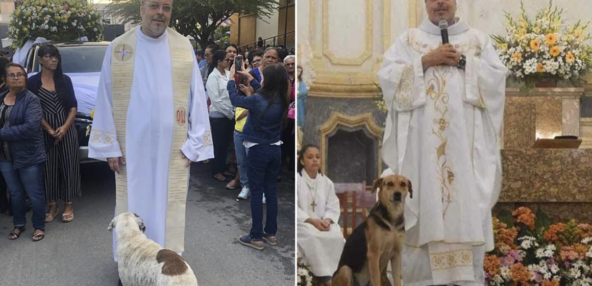 Sacerdote lleva perros abandonados a sus misas para que sean adoptados