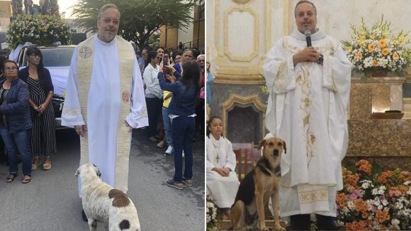 Sacerdote lleva perros abandonados a sus misas para que sean adoptados