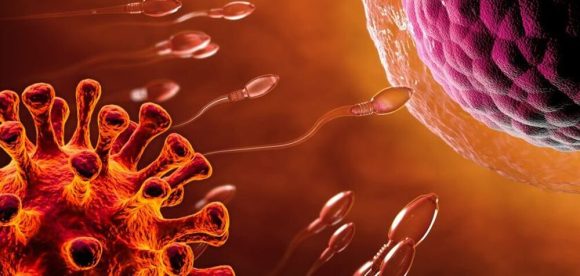 Se estudia si Covid-19 severa reducen la fertilidad masculina