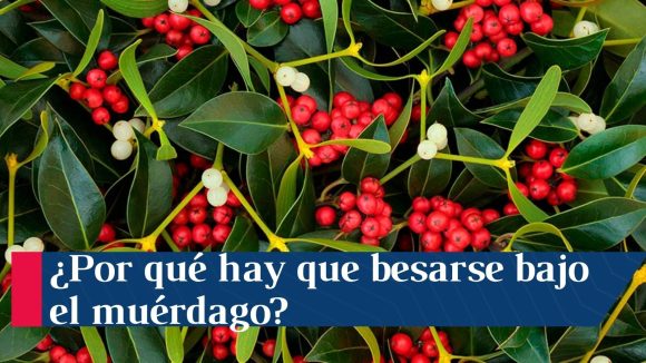 Tradición del muérdago en la época navideña