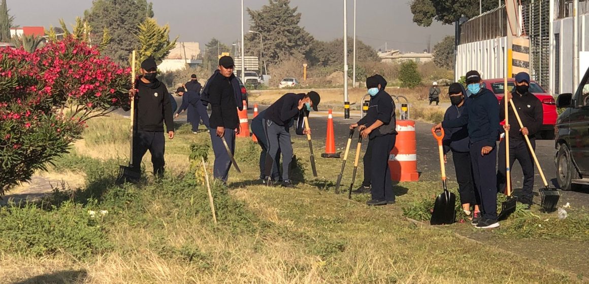 Cadetes se suman a jornadas de proximidad organizadas por el ayuntamiento de Bosques de San Sebastián