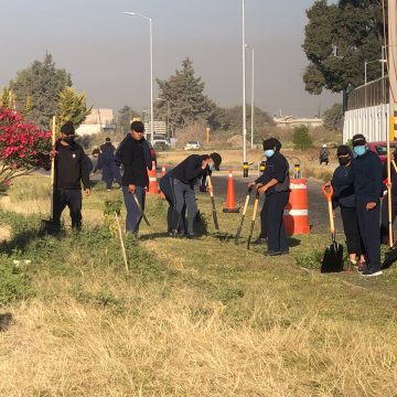 Cadetes se suman a jornadas de proximidad organizadas por el ayuntamiento de Bosques de San Sebastián