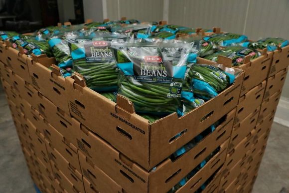 Productores agradecen vinculación de SDR para exportar ejote