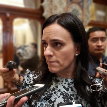 Diputada pide encuadrar delitos contra los menores