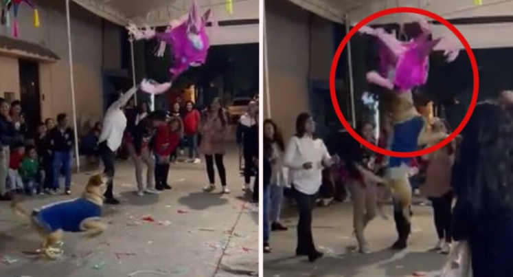 (VIDEO) Perrito participa en posada y rompe la piñata