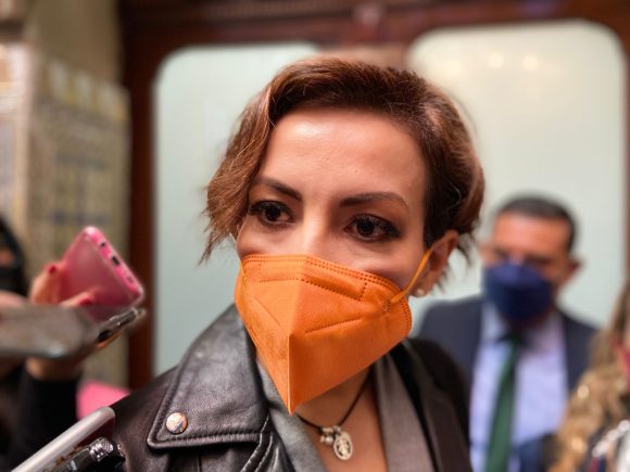 Congreso corregirá errores cometidos en la “Ley Bala”