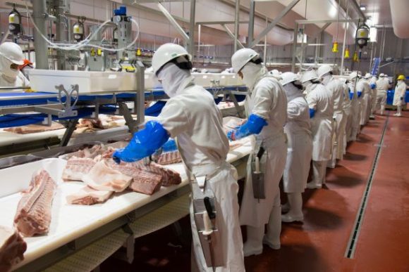 En medio de la pandemia, Granjas Carroll incrementó 45% ventas de carne en 2021