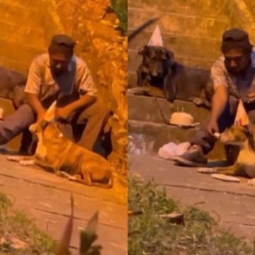 Hombre en situación de calle celebra con pastel cumpleaños de sus perros