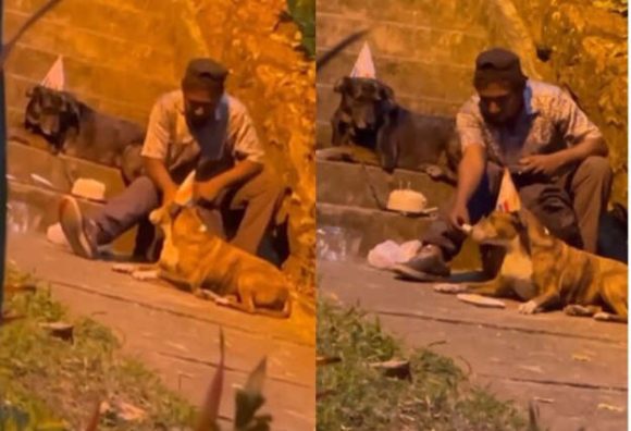 Hombre en situación de calle celebra con pastel cumpleaños de sus perros