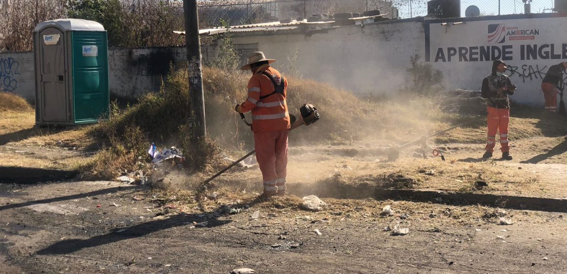 Medio Ambiente Municipal coordina brigada de limpieza y mantenimiento en Loma Bella