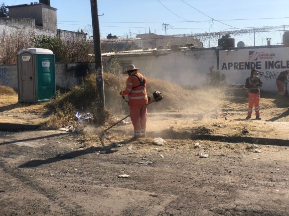 WhatsApp-Image-2022-01-18-at-2.15.52-PM Medio Ambiente Municipal coordina brigada de limpieza y mantenimiento en Loma Bella