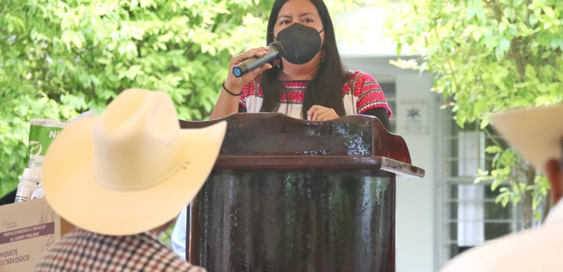 Entrega SDR apoyos para el campo en la Mixteca poblana