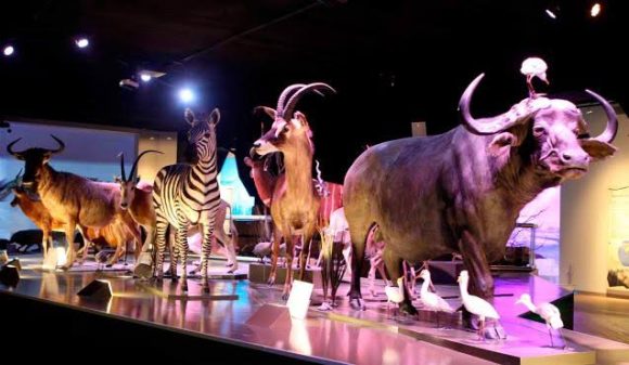 Más de 3 mil personas iniciaron el 2022 visitando los museos de Puebla