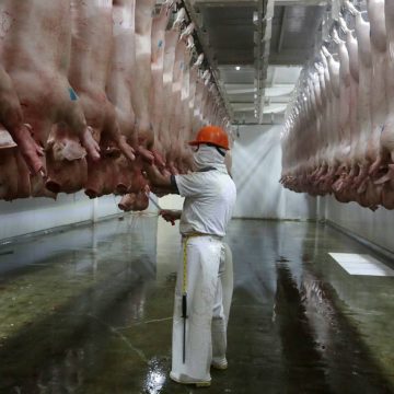 Convenio Rastro Municipal CMH 1 Rastro municipal decomisa 208 kg de carne y 94 animales por riesgo sanitario