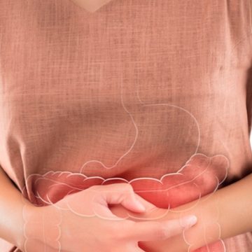 Infusión de plantas podría curar la colitis: IPN