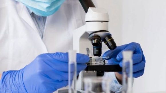 Bacteria OM-85 pone fin a las infecciones por Covid-19:Universidad de Arizona