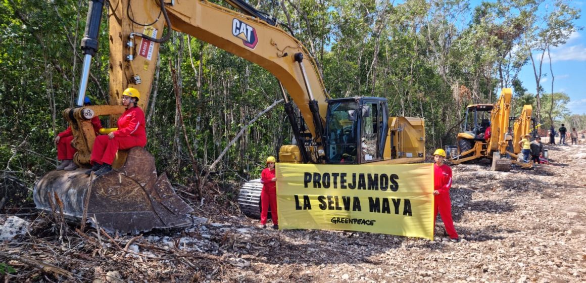 Se encadenan activistas de Greenpeace a la maquinaria del Tren Maya