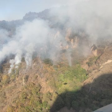 Afectadas 95 hectáreas en el cerro de Tepoztlán por incendio