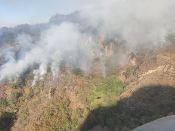 incendio tepoztlán Afectadas 95 hectáreas en el cerro de Tepoztlán por incendio