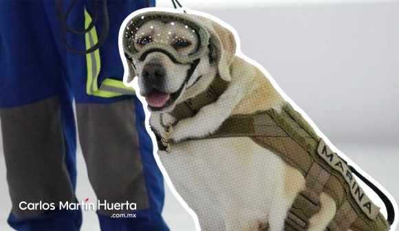 Portadas-notas-25-2 En observación médica Frida, la perrita rescatista